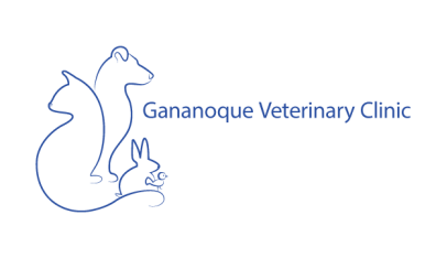 Gananoque Veterinary Clinic-HeaderLogo
